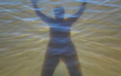 Becoming the Ground (in a world of chaos)