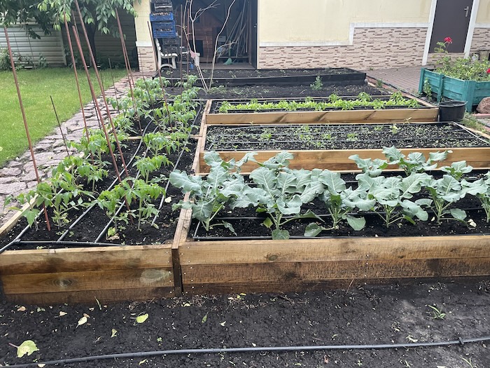 garden beds