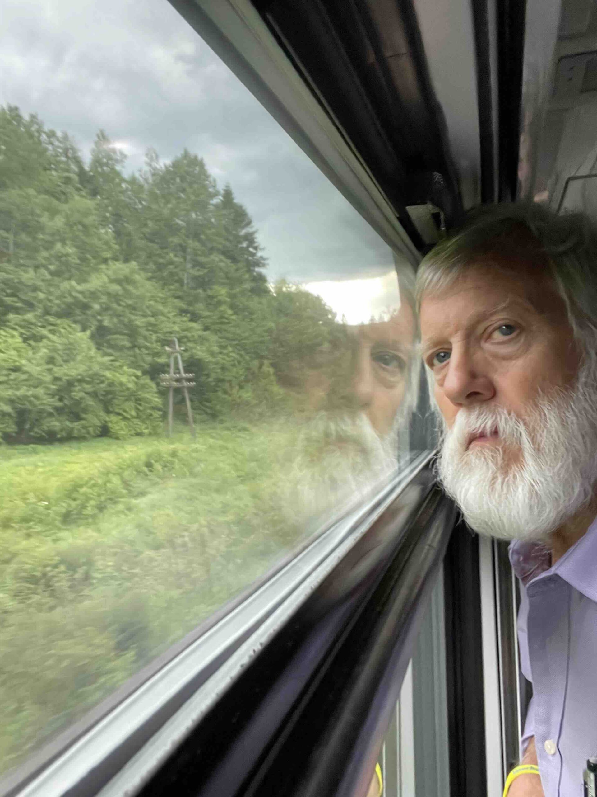 A man looks out a train window at the countryside